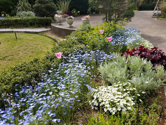 須磨離宮公園花の庭園