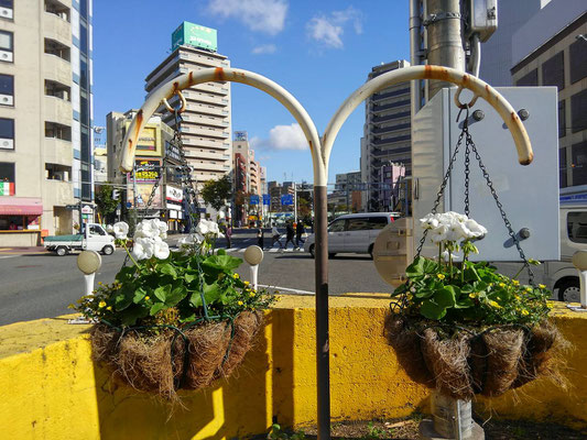 北野エリア花壇管理業務