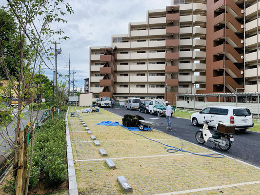 集合住宅の駐車場緑化