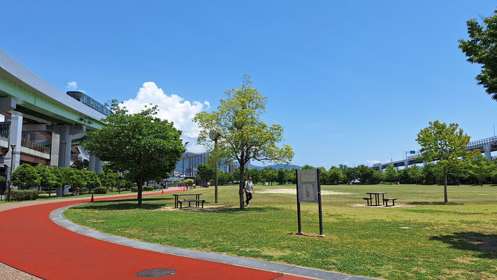 みなとの森公園