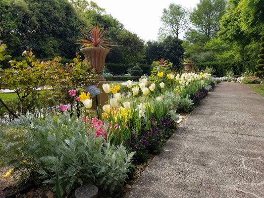 須磨離宮公園花の庭園