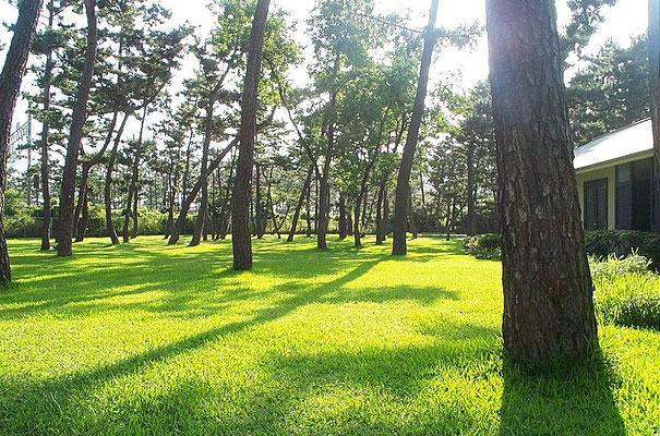 兵庫県立舞子公園