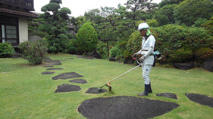 教育施設の庭