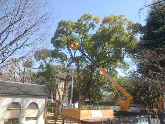 神戸市立王子動物園