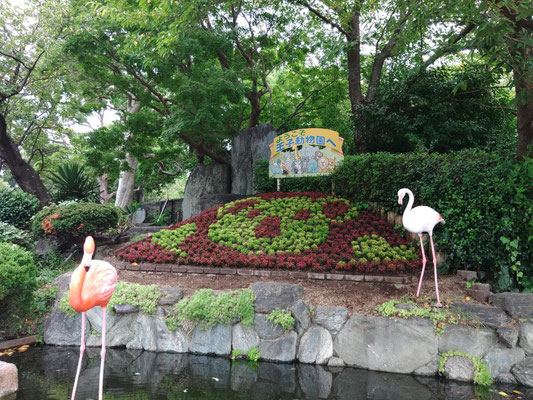 神戸市立王子動物園