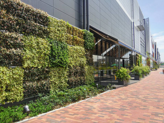 商業施設の壁面緑化