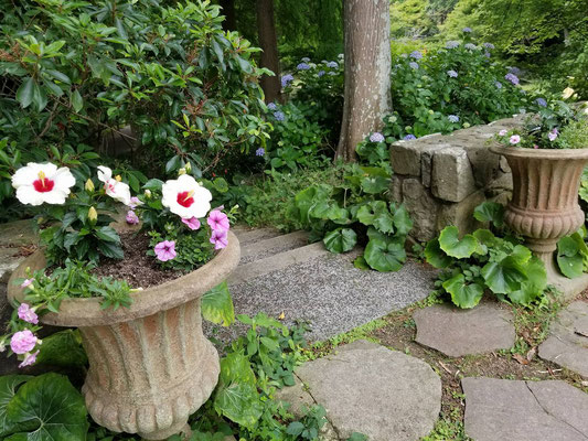 須磨離宮公園花の庭園