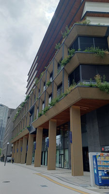 神戸市中央区役所壁面緑化