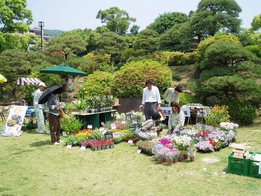 相楽園植物販売出店