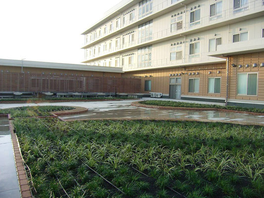 病院の緑地