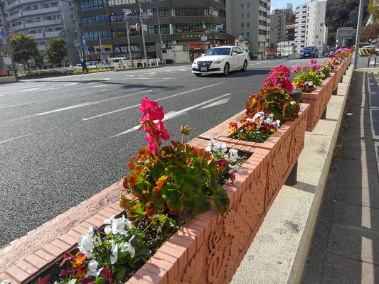 北野エリア花壇管理業務