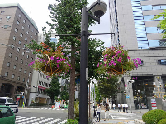 旧居留地エリア花壇管理業務