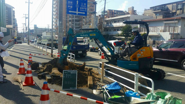 道路拡張等による街路樹抜根