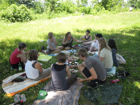 Kräuterwanderung Wien