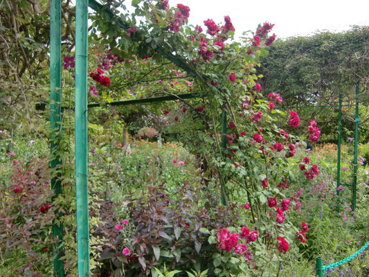 モネの庭園の薔薇