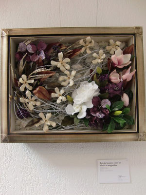 巴里・日本文化祭出展作品・　Expo Japan in Paris 2011 出展作品