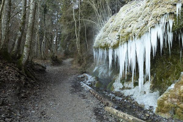 Die Wutachschlucht, Winterfoto des brühmten Wasserfalls