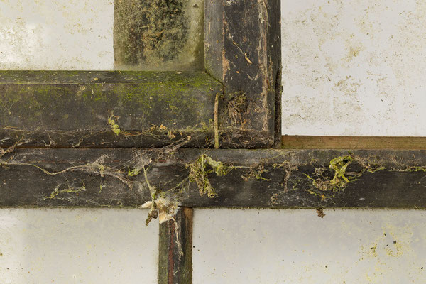 Fenster, Schwarzwaldhaus vor der Restaurierung, Außenseite Detail