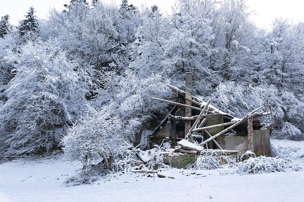 Das Haus vom Sägersepp Winter 2025