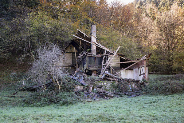 Das Haus vom Sägersepp Herbst 2024