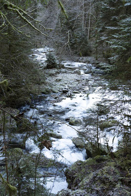 Die Rötenbachschlucht, ein Zufluss der Wutachschlucht
