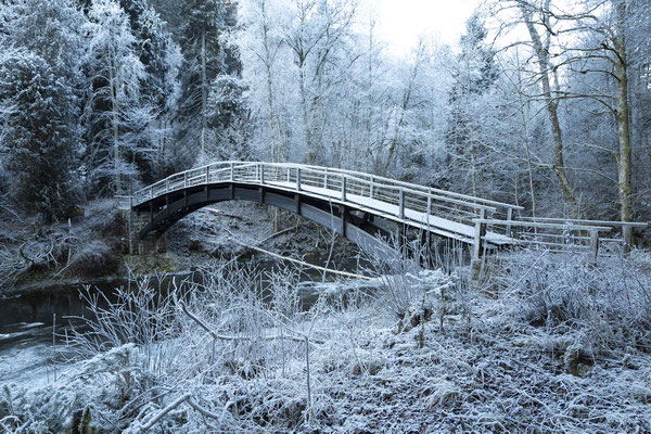 Die Wutachschlucht, Winterfoto der vereisten Brücke
