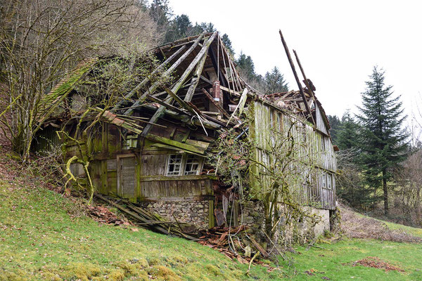 Das Haus vom Sägersepp 2019