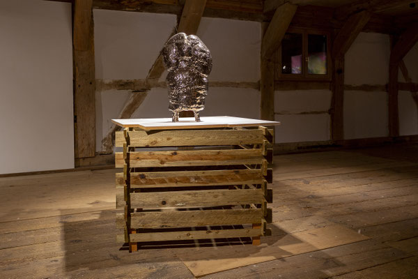  Hirnkasten und Echokammer,  Susanne Ring