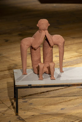  Hirnkasten und Echokammer,  Susanne Ring