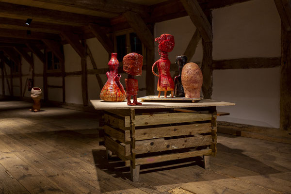  Hirnkasten und Echokammer,  Susanne Ring