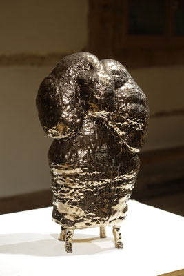  Hirnkasten und Echokammer,  Susanne Ring