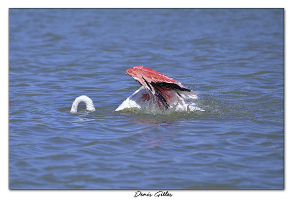 Ablutions