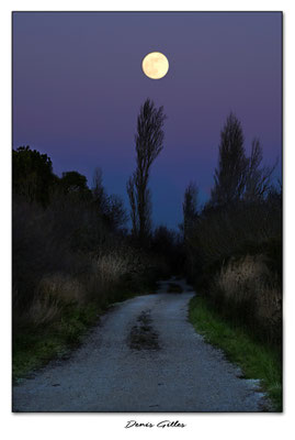 La lune du loup sur les bords du Vaccares