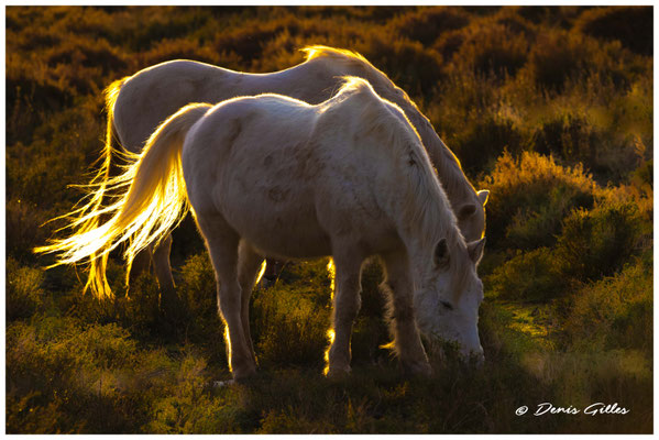 Ombres et lumières