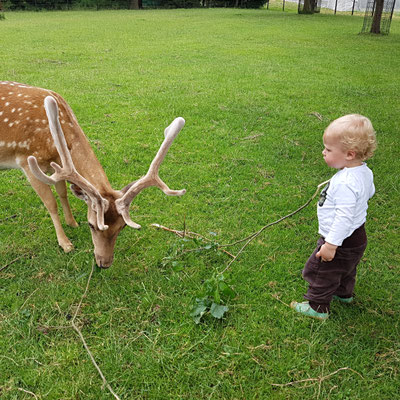 Der kleine Felix füttert unseren Horst.