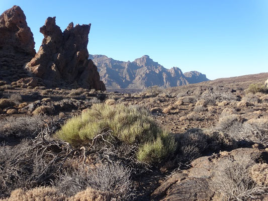 Vue sur la caldera de Las Cañadas