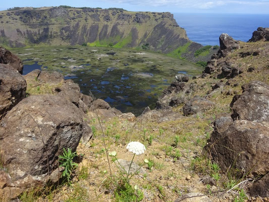 Vue sur la caldera de Rano Kau depuis les environs d'Orongo