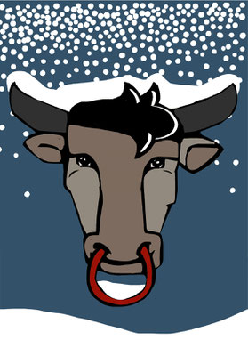 54 Stier im Schnee