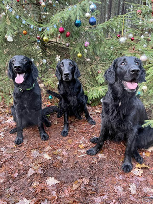 Alma, Maya und Tamy