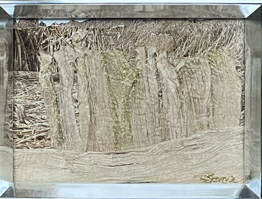 COLLAGE 3 “BOOMSCHORS”         0.13 x 0.18m in zilverkleurige lijst