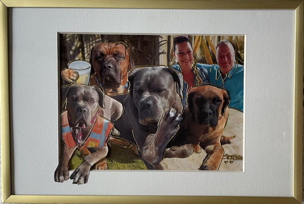 COLLAGE 12 “AFSCHEIDSKADO COLLEGA PRORAIL” 