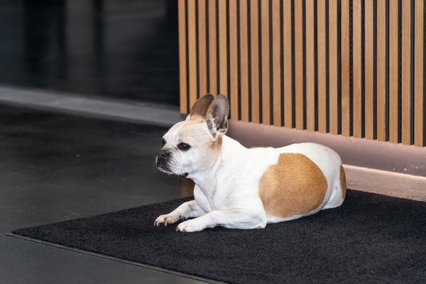 Ihr kompetentes Team von Automobile Avci in Miesbach