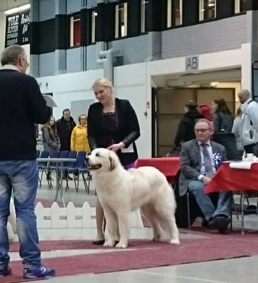 Echo de'Chien Carmen