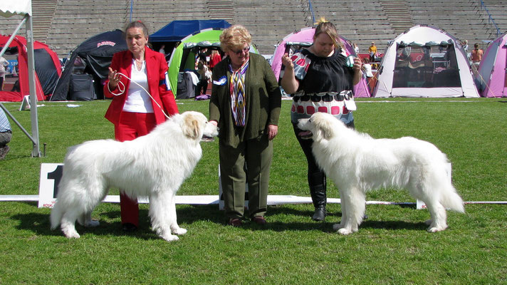 BOB - Echo de'Chien Cruise & BOS - Echo deChien Bewitched