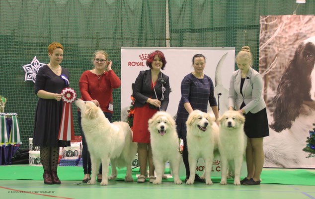 Best in Show Progeny #1