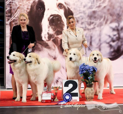 kennel Echo de'Chien - Best in Show Breeder II