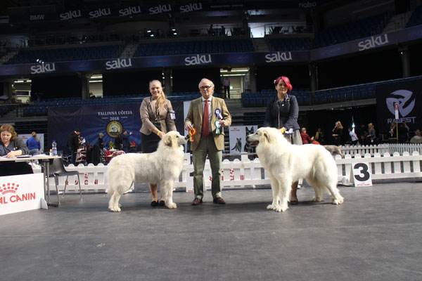 BOB - Echo de'Chien Estella & BOS Echo de'Chien Grand Dauphin