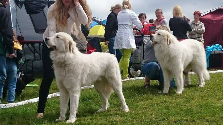 Son and father - Echo de'Chien Conrad and Echo de'Chien Aslan Warrior