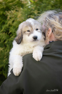ECHO DE'CHIEN PARIS BIJOU