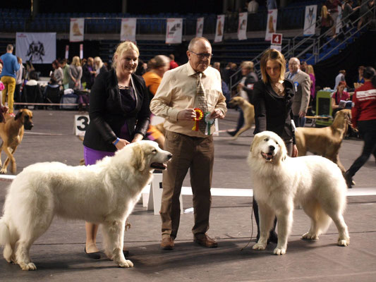 Echo de'Chien Bellatrix BOB & Echo de'Chien Conrad BOS